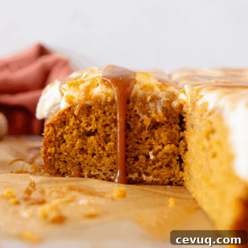 pumpkin caramel sheet cake