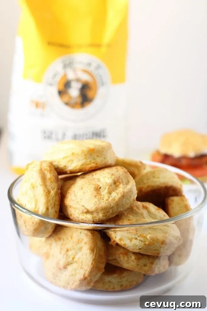 Cheddar Chive Biscuit BLT Sandwiches #BetterBiscuits
