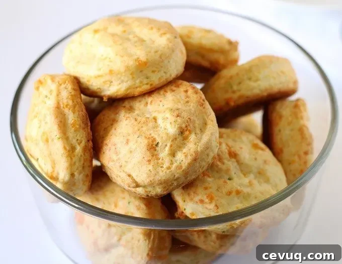 Cheddar Chive Biscuit BLT Sandwiches #BetterBiscuits