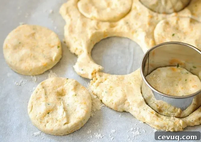 Cheddar Chive Biscuit BLT Sandwiches #BetterBiscuits