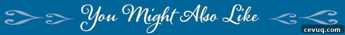 blue banner with the words you might also like
