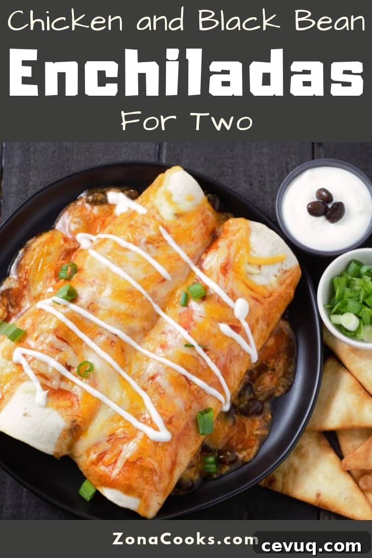 a graphic of Chicken and Black Bean Enchiladas Recipe for Two