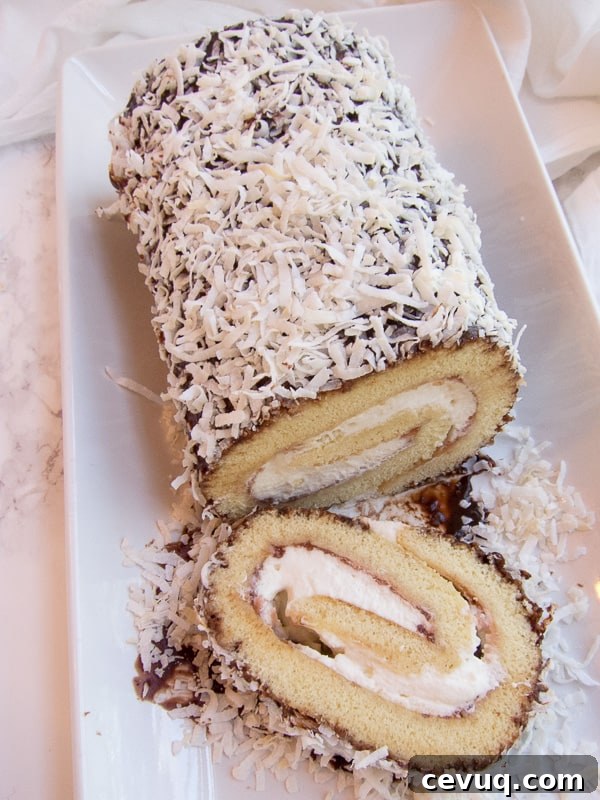 Australian Lamington Roll Cake