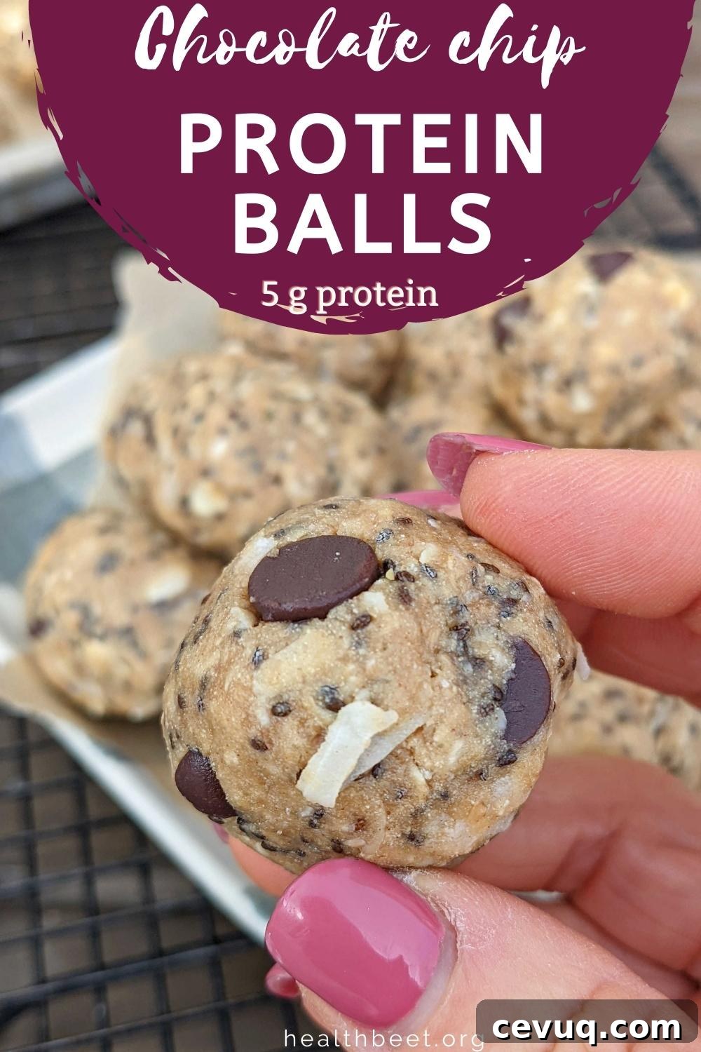 chocolate chip protein balls with 5 g protein per ball
