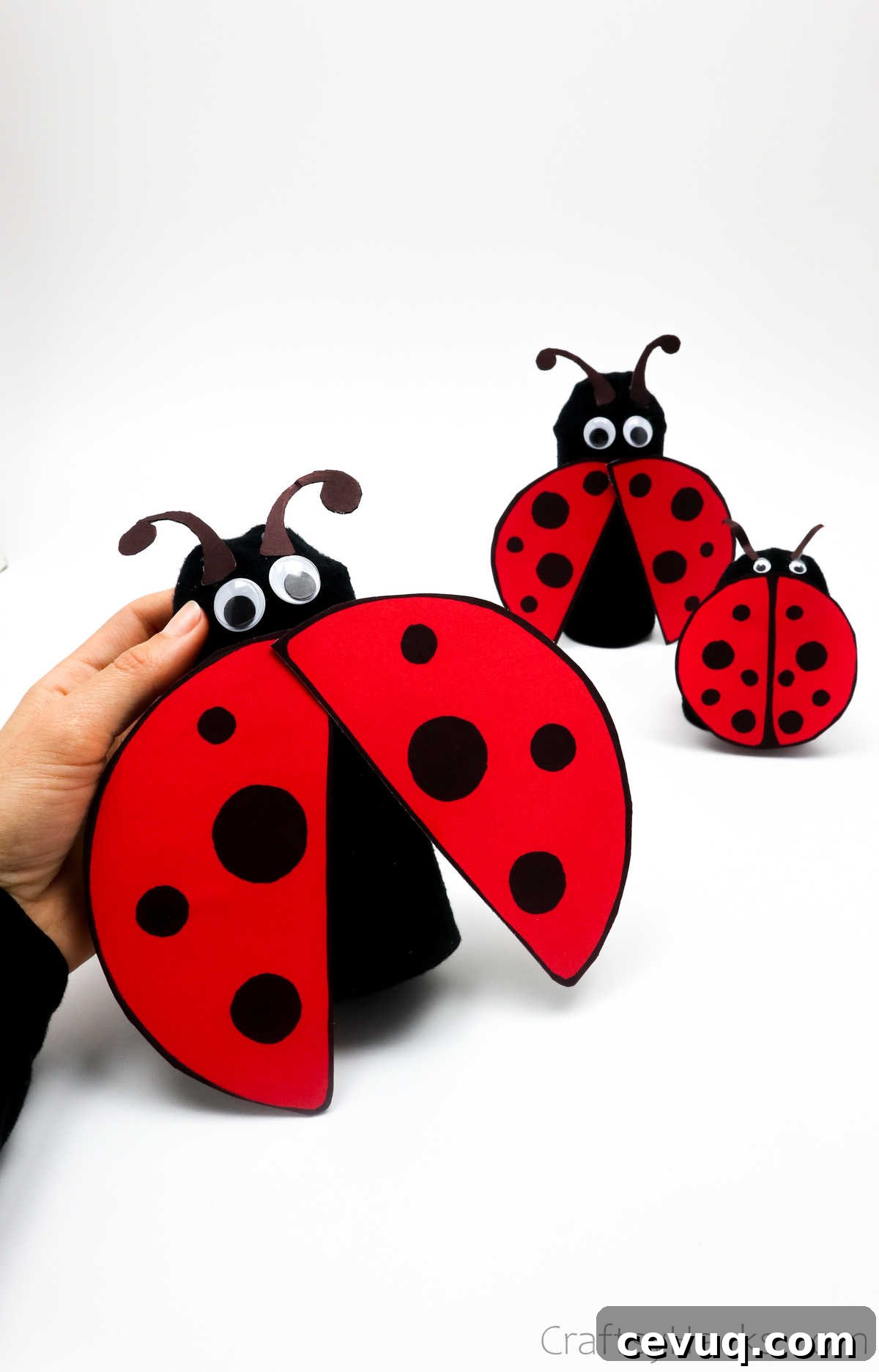 ladybug craft
