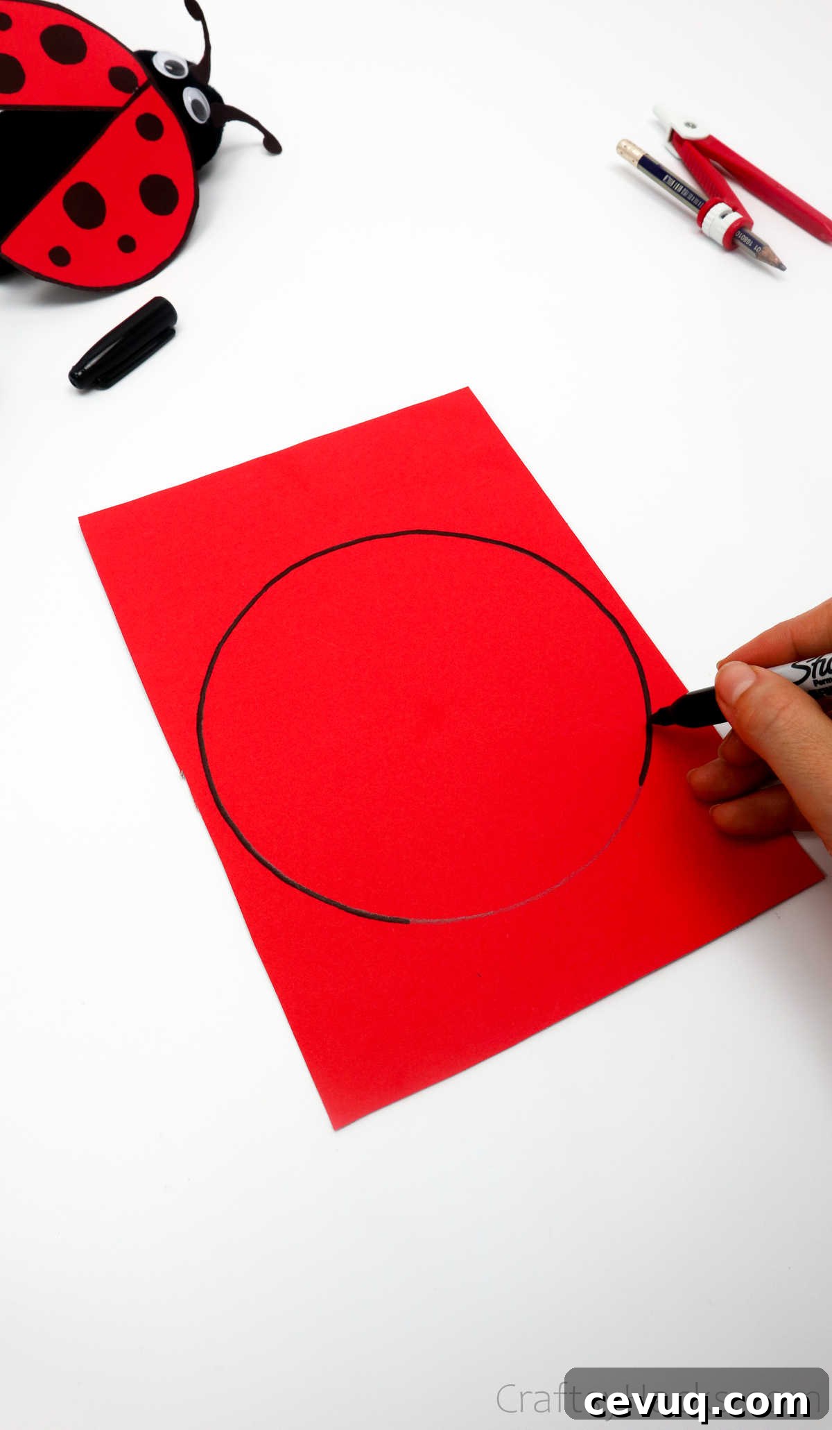 outline circle in black