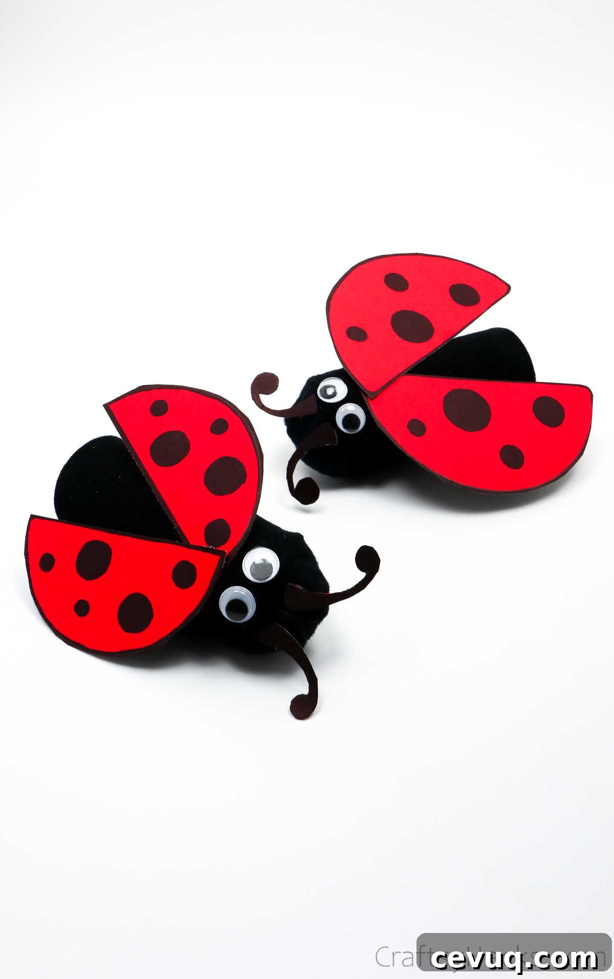 two completed ladybugs