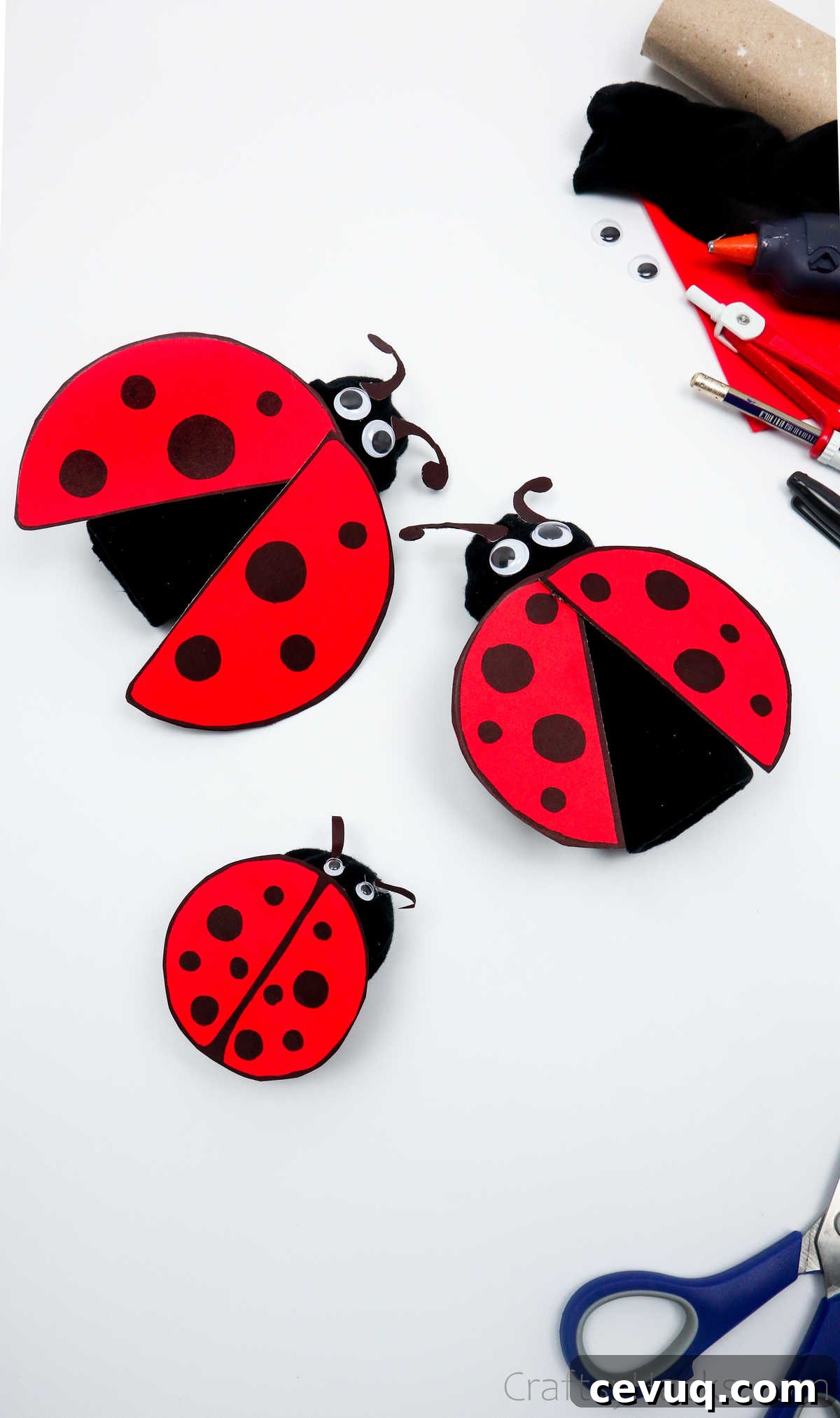 ladybugs all finally made