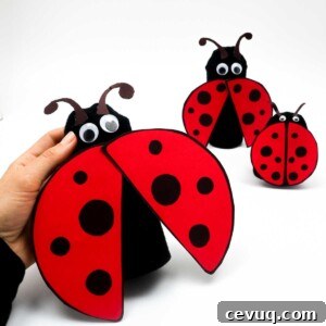 ladybug craft