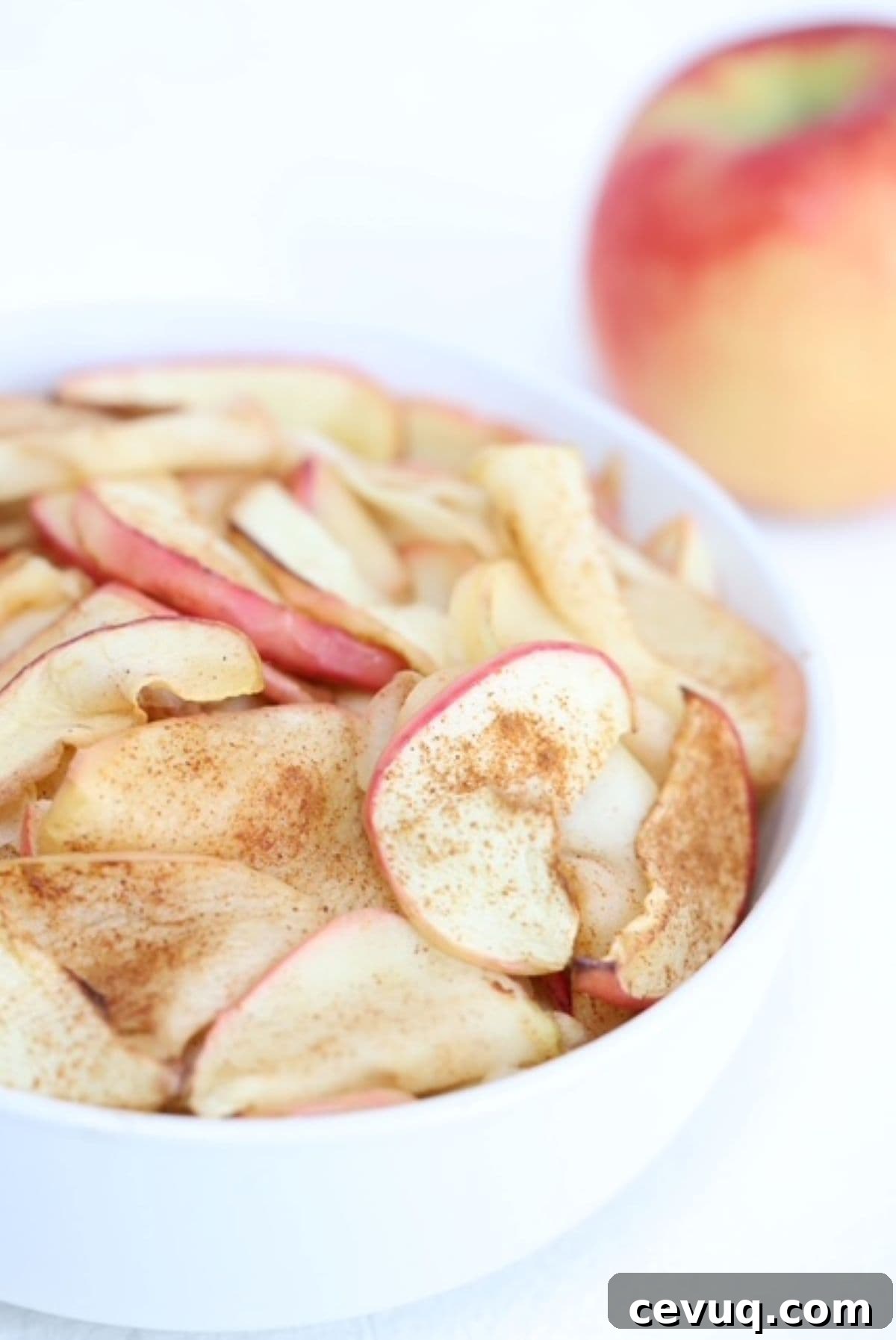 Crispy Air Fryer Apple Slices Recipe for Quick Snacks 2 Air fried apple slices in a white serving bowl with an apple in the background.