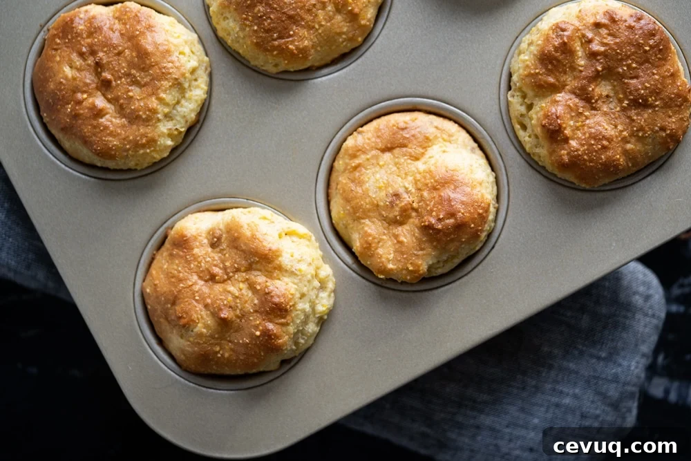 Overhead shot of low carb cornbread just baked in a muffin tin