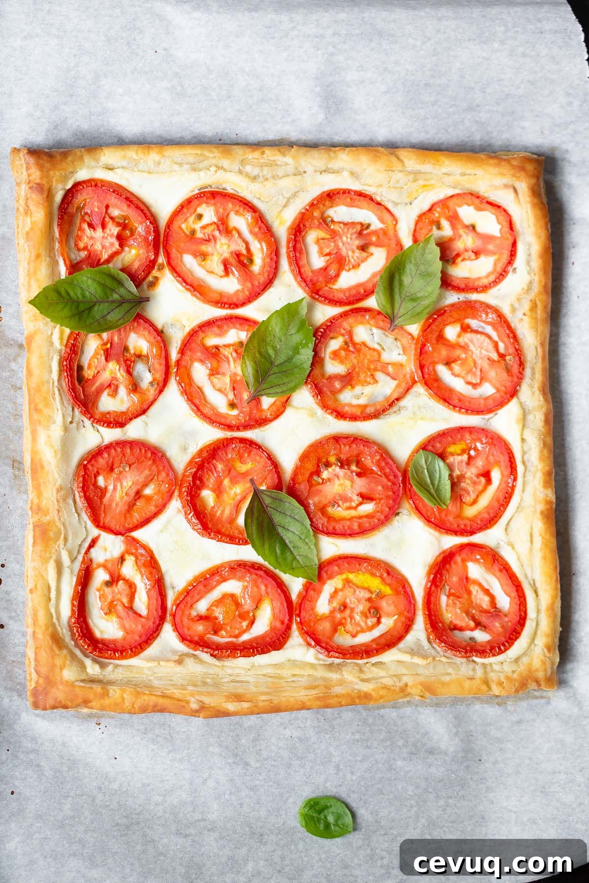 Tomato and ricotta tart topped with fresh basil