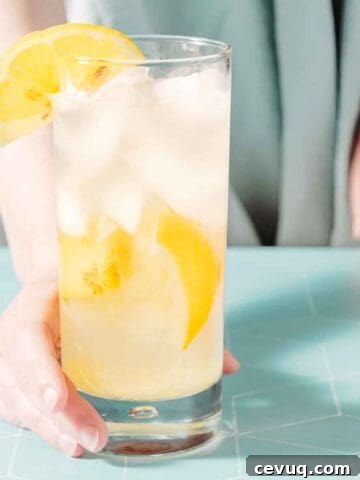 hand holding glass of lemonade garnished with lemon slice.