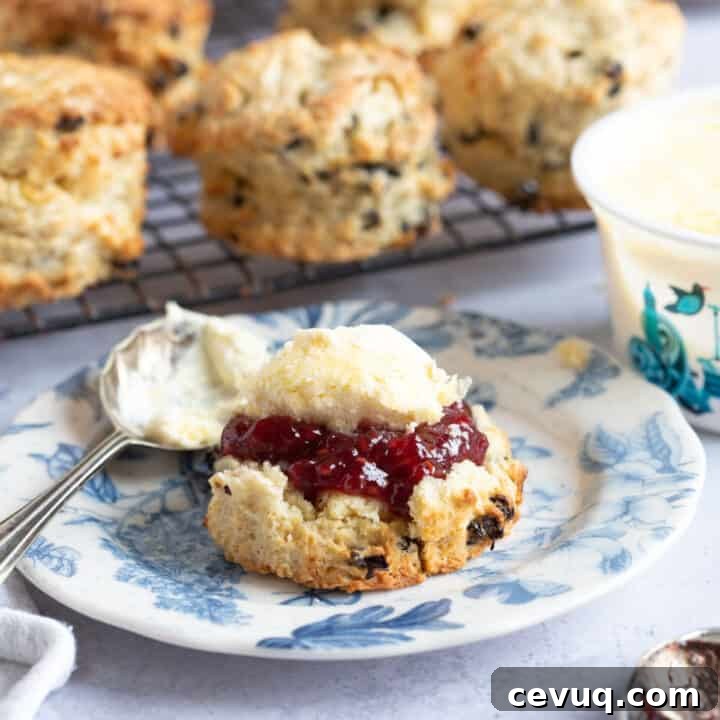 Fruit scone on a plate with jam and clotted cream.