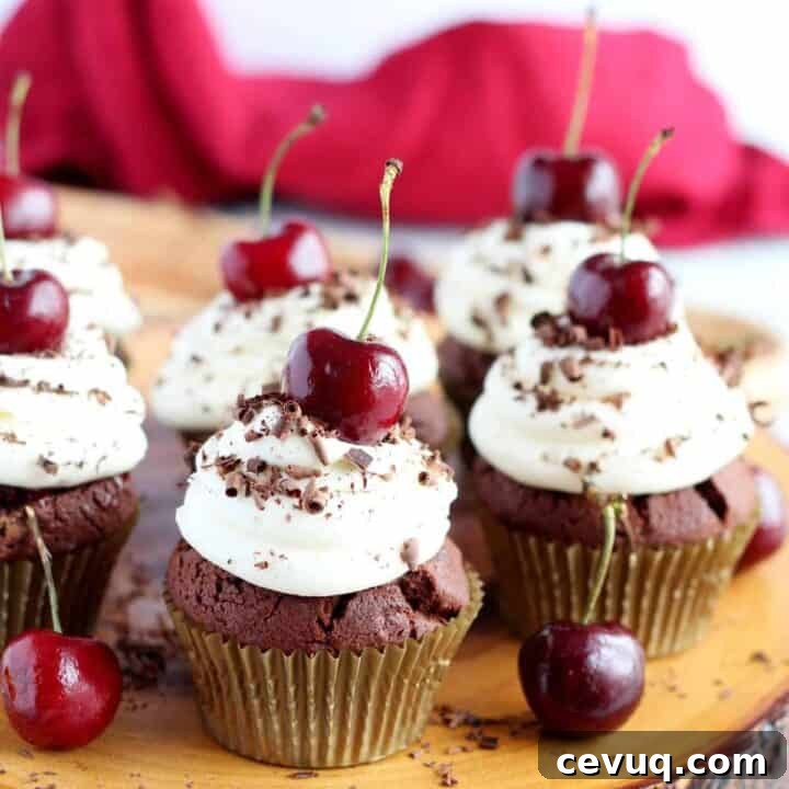 Black forest cupcakes.