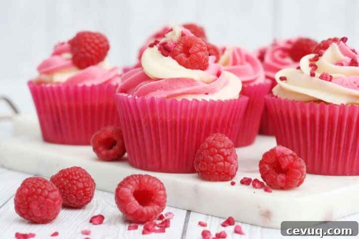 Raspberry cupcakes.