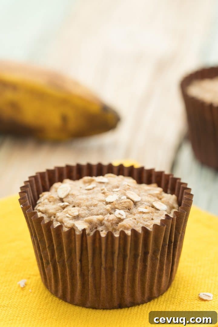 healthy banana muffins for babies and toddlers