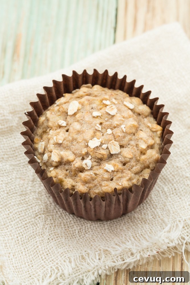 Banana Muffins with Oatsmeal