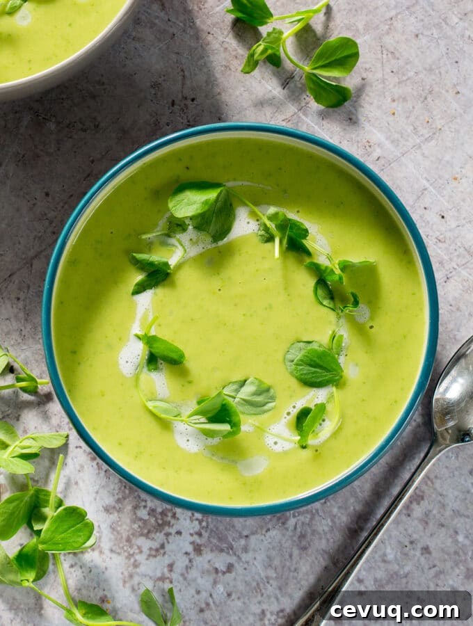 Fennel Soup