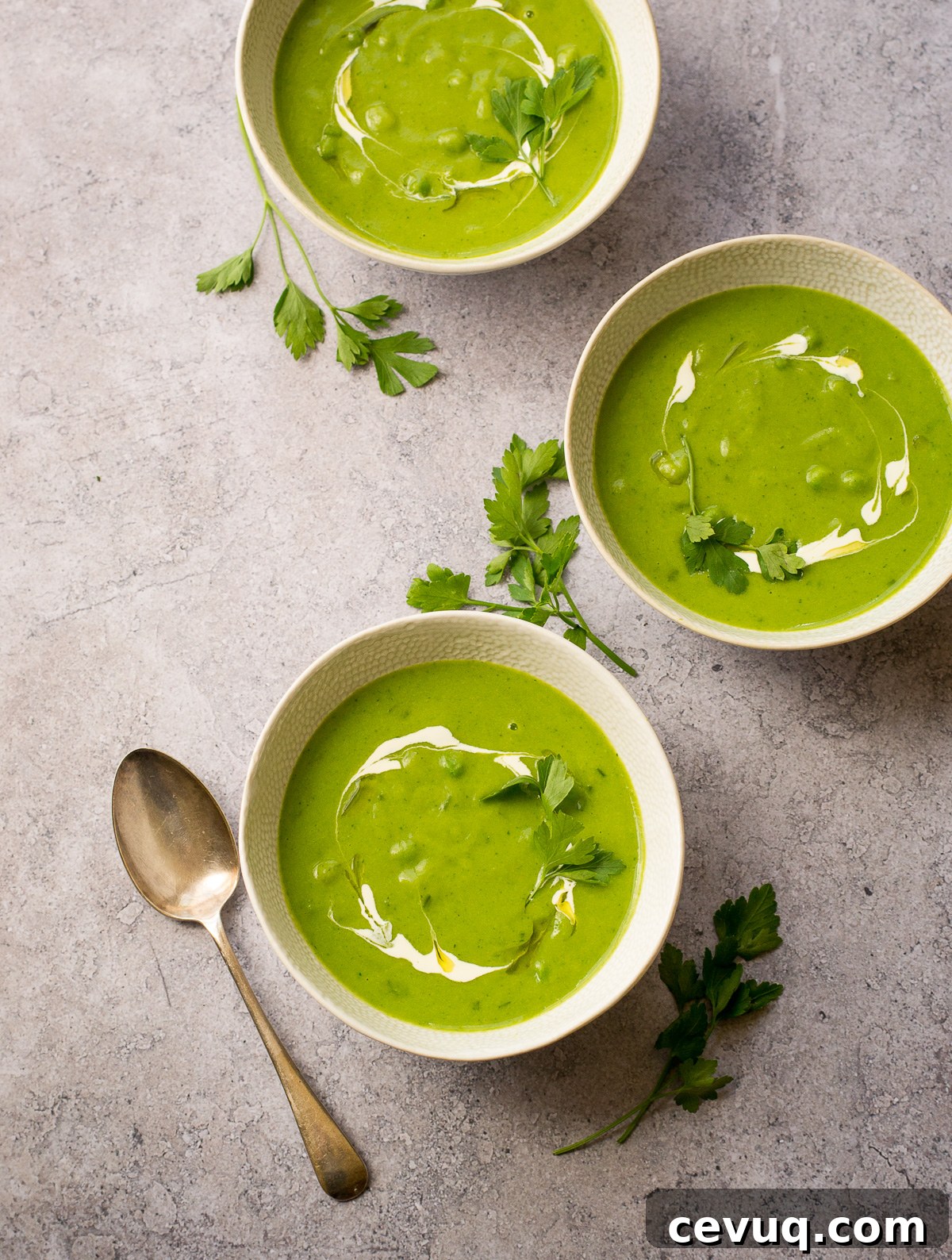 Parsley Soup