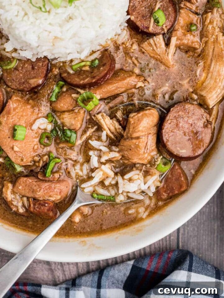 a close up of a bowl of chicken and sausage gumbo with a spoon sitting in it, looks like it's about to lift up, with some rice too