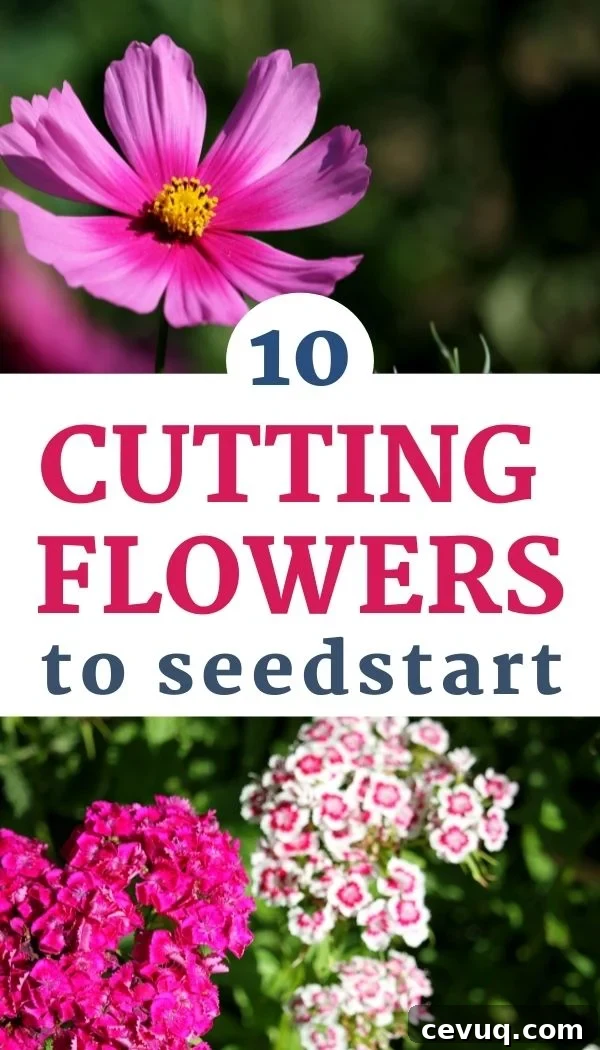 Discover the best cut flowers to start from seed for and old fashioned cutting garden!