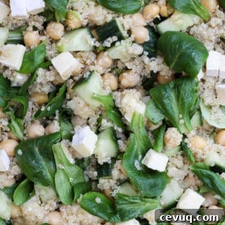 Close up of quinoa chickpea salad