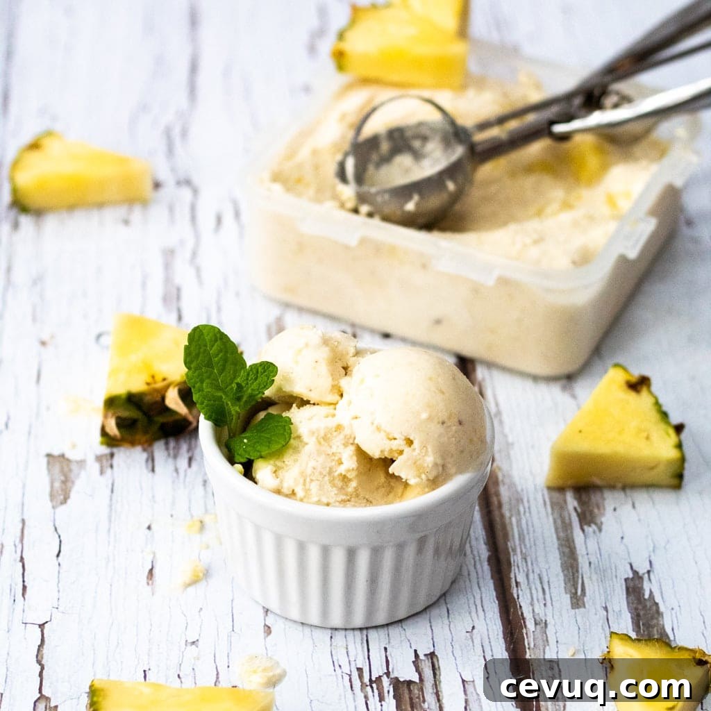 Bowl of pina colada nice cream and scoop plus pineapple pieces