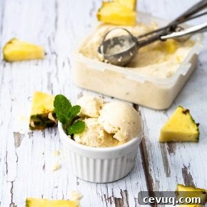 Bowl of pina colada nice cream and scoop plus pineapple pieces
