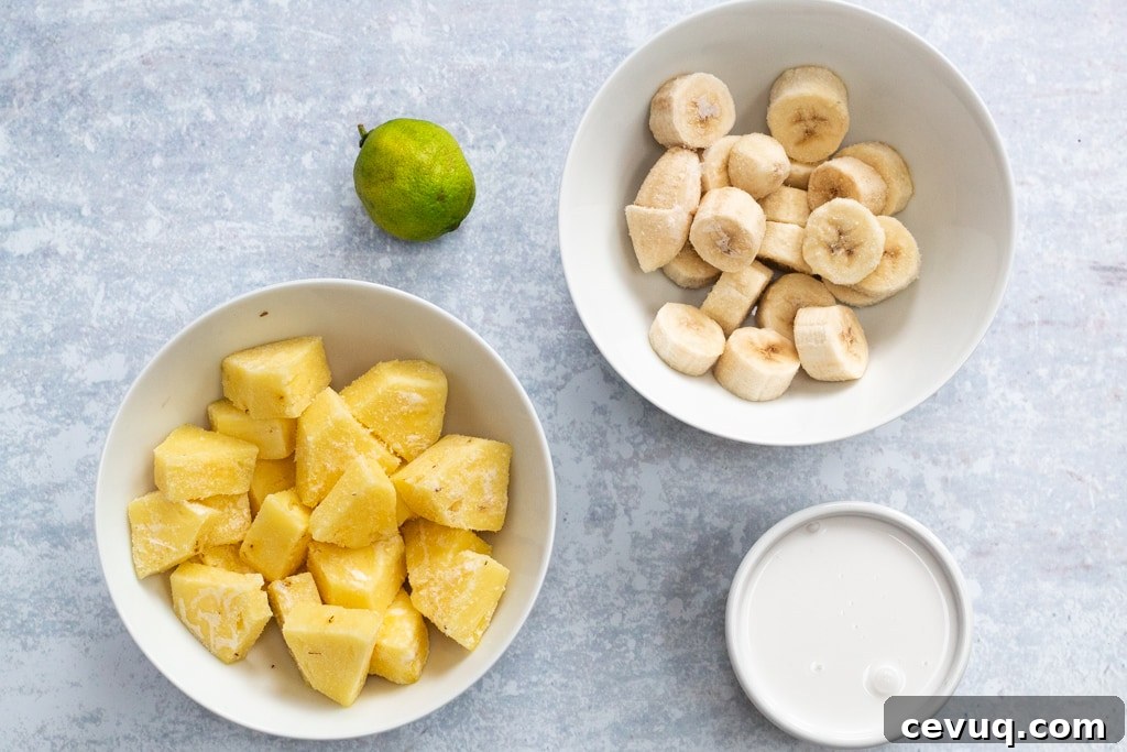 Ingredients for pina colada nice cream