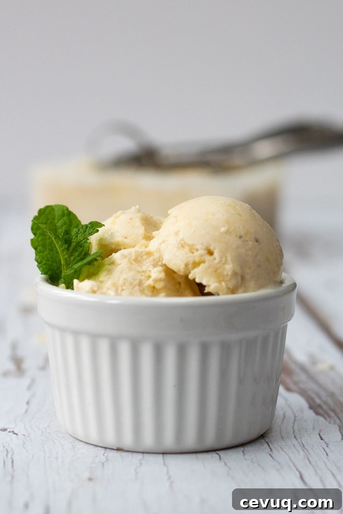 Bowl of tropical pineapple nice cream