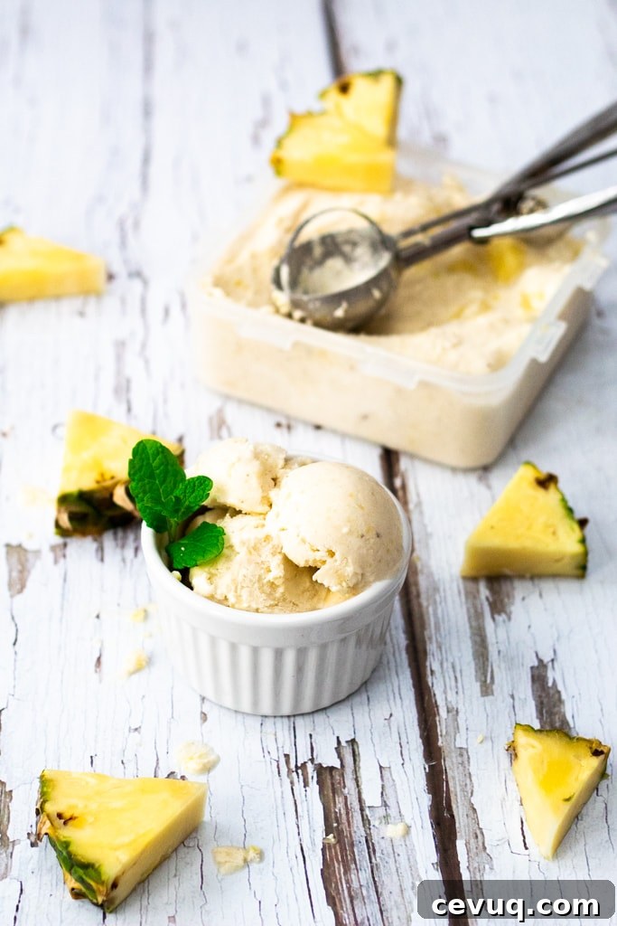 pina colada nice cream recipe