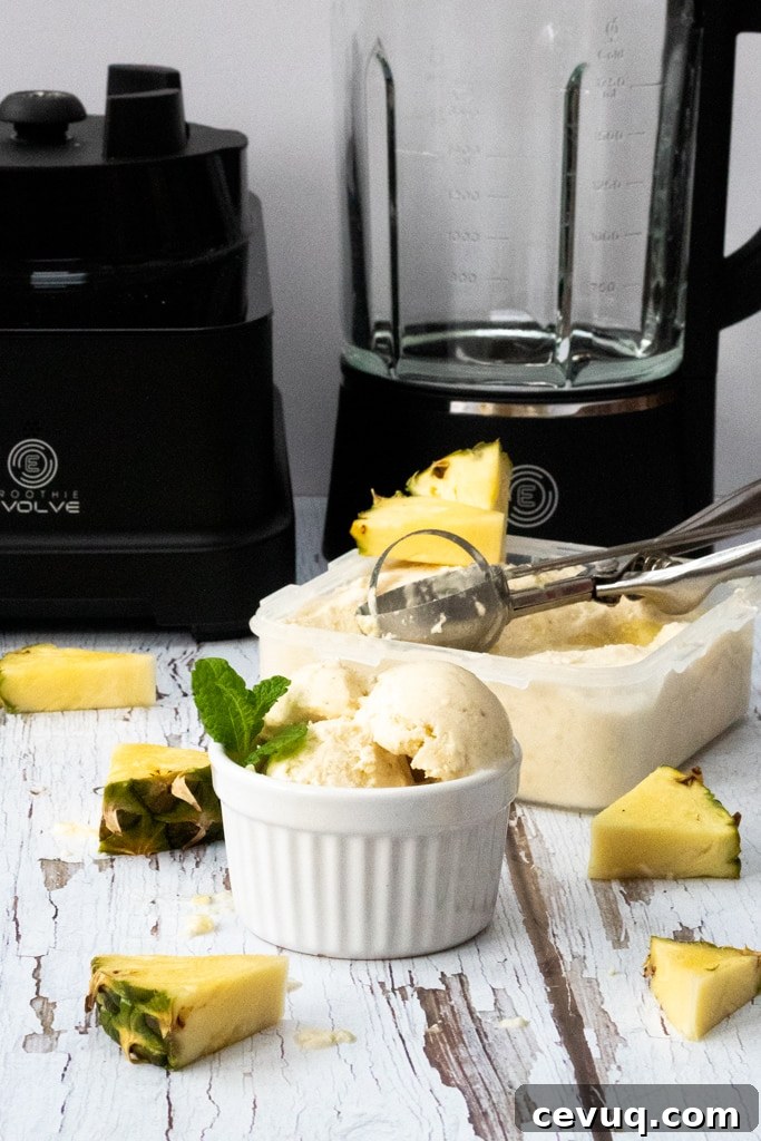 froothie Evolve power blender with pineapple coconut banana nice cream