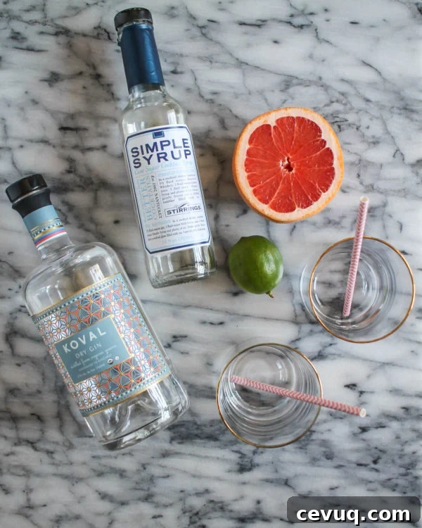 Grapefruit Lime Fizz
