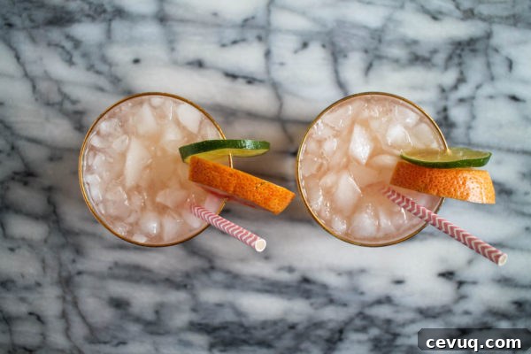 Grapefruit Lime Fizz-8