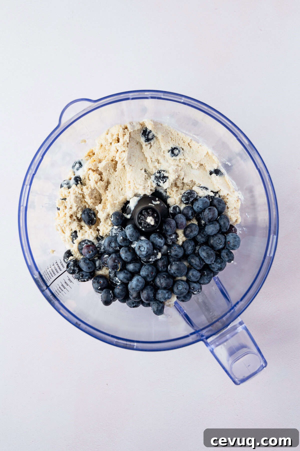 A blender filled with blueberries and blended cashews.