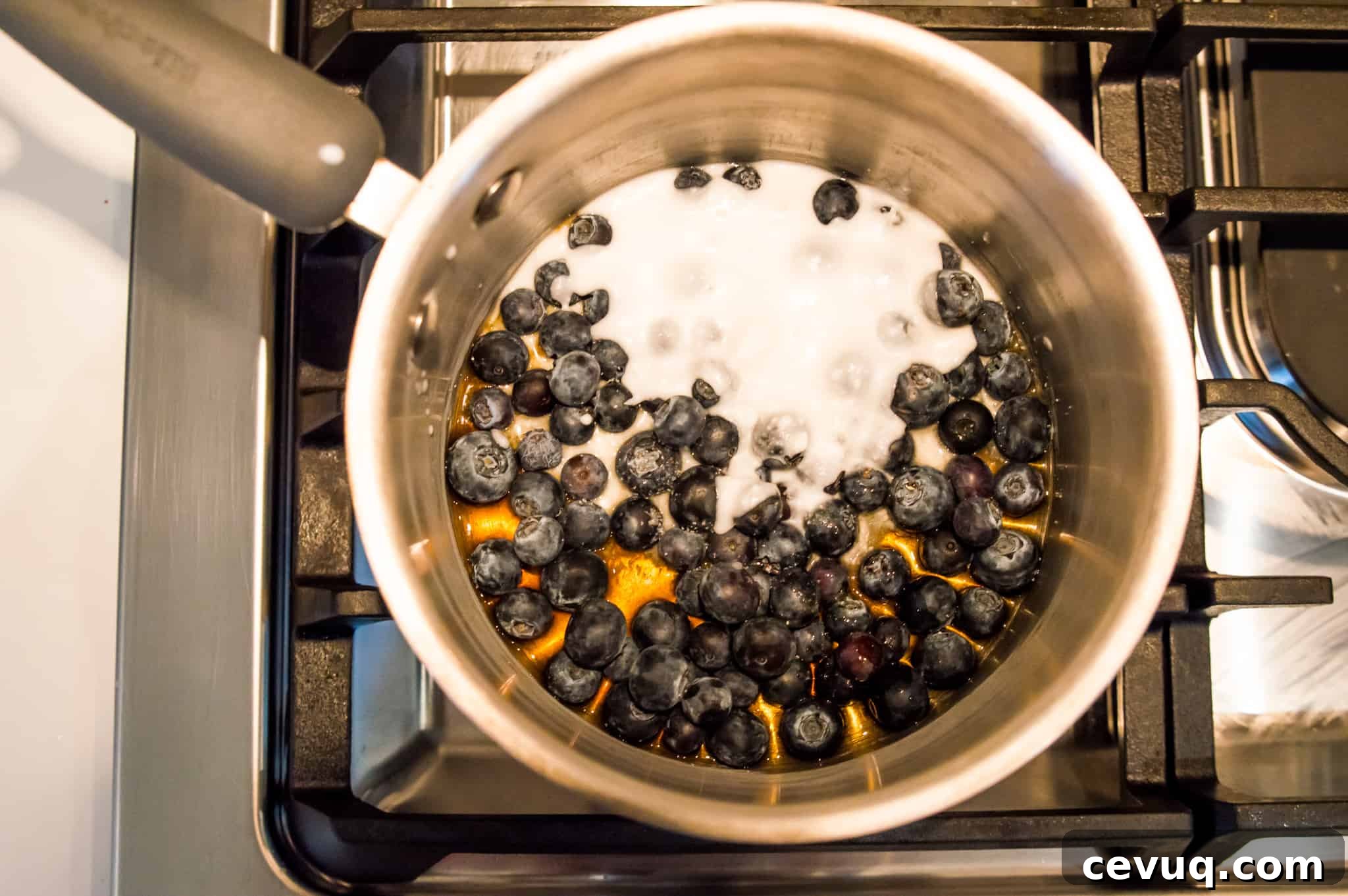 Blueberries and coconut milk in a pot on the stovetop.