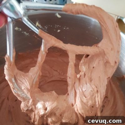 Rich Chocolate Buttercream Recipe for Perfect Cake Frosting 8 Chocolate buttercream recipe