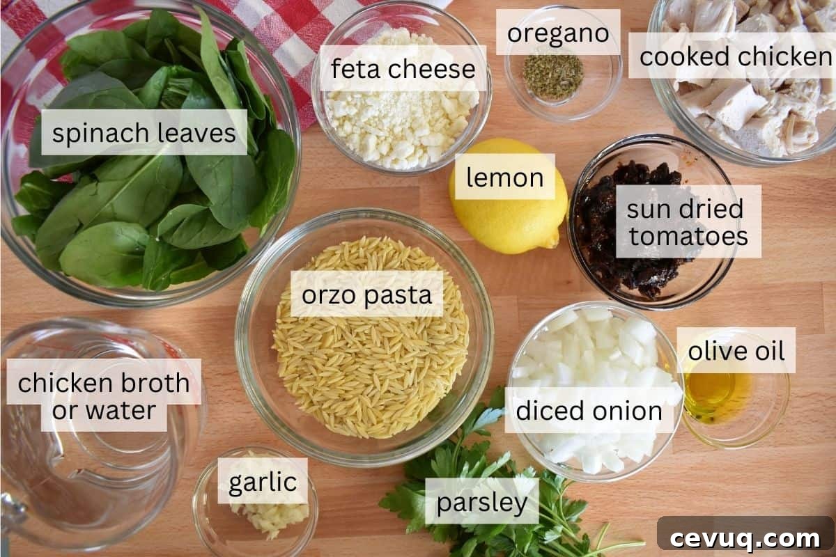 Ingredients for recipe including onions, oil, lemon, and chicken. 