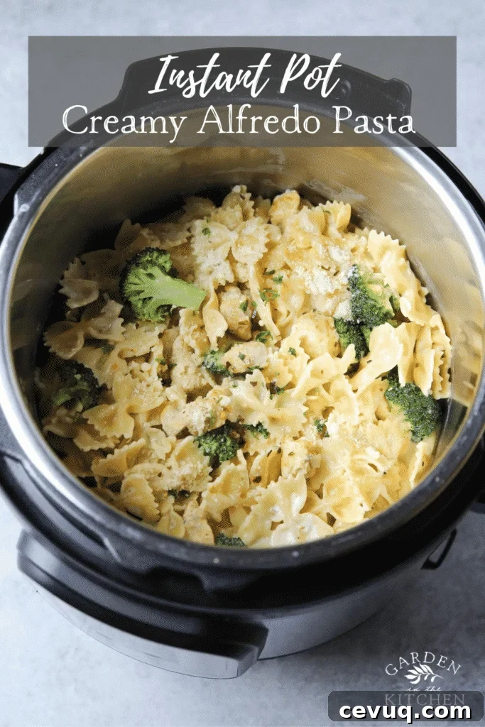 creamy instant pot Alfredo pasta with chicken and broccoli 