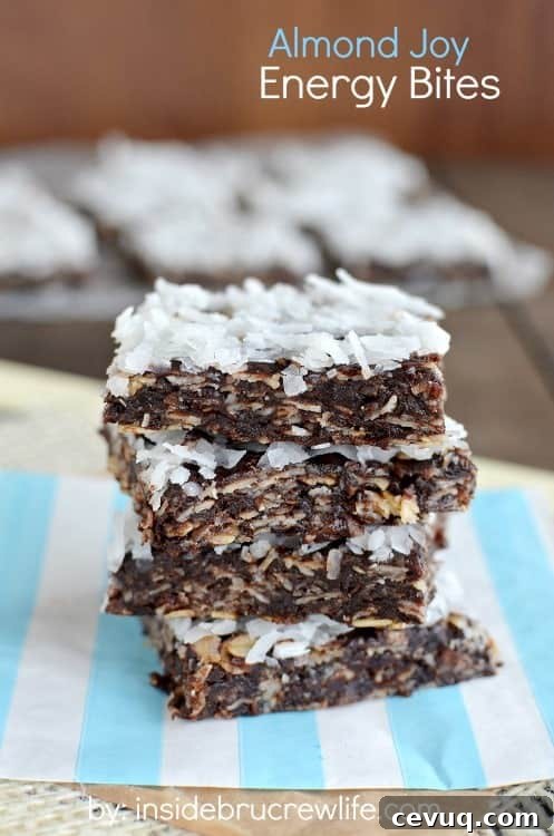 Almond Joy Energy Bites
