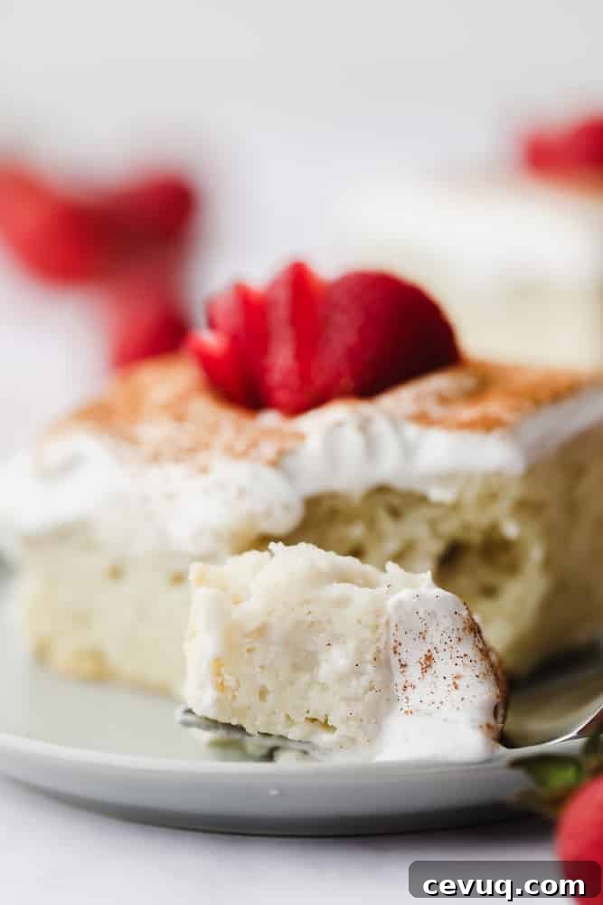 bite taken of a vegan tres leches cake showing texture