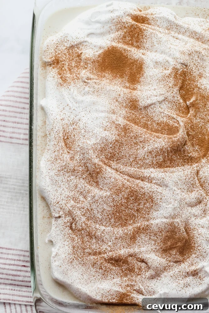 a whole tres leches cake with cinnamon on top
