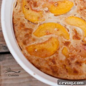 looking down in a casserole dish filled with Peaches and Cream Baked Oatmeal.