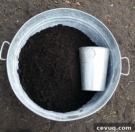 what good compost looks like