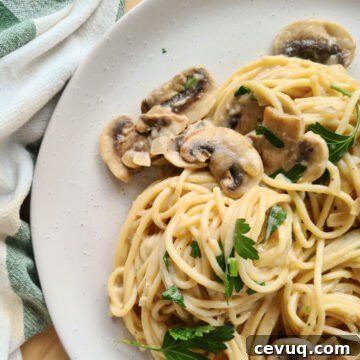 Close up of a plate of creamy mushroom pasta