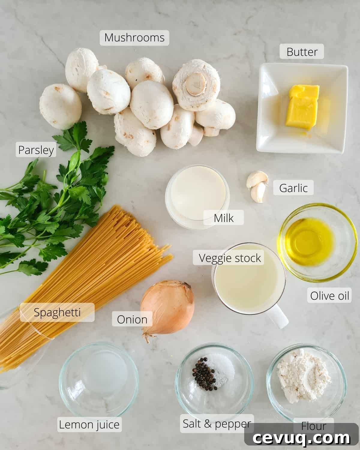 Creamy Mushroom Pasta Without Cream — Dairy-Free Recipe 3 Overhead shot of all ingredients required for creamy mushroom pasta