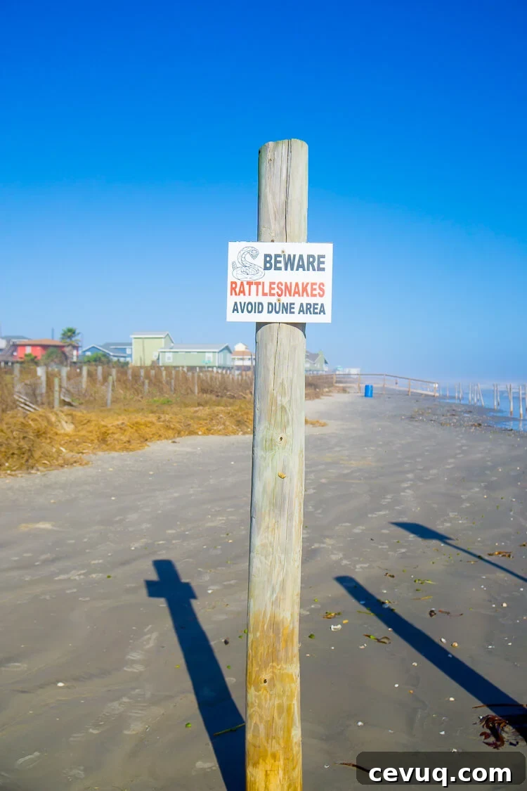 Planning a trip to Galveston Island, Texas? Here are 14 not to be missed things that you should add to your itinerary!