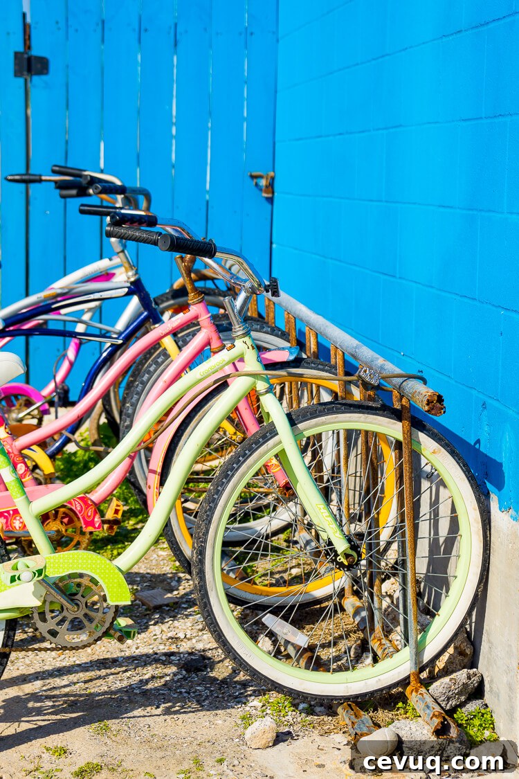 Planning a trip to Galveston Island, Texas? Here are 14 not to be missed things that you should add to your itinerary!