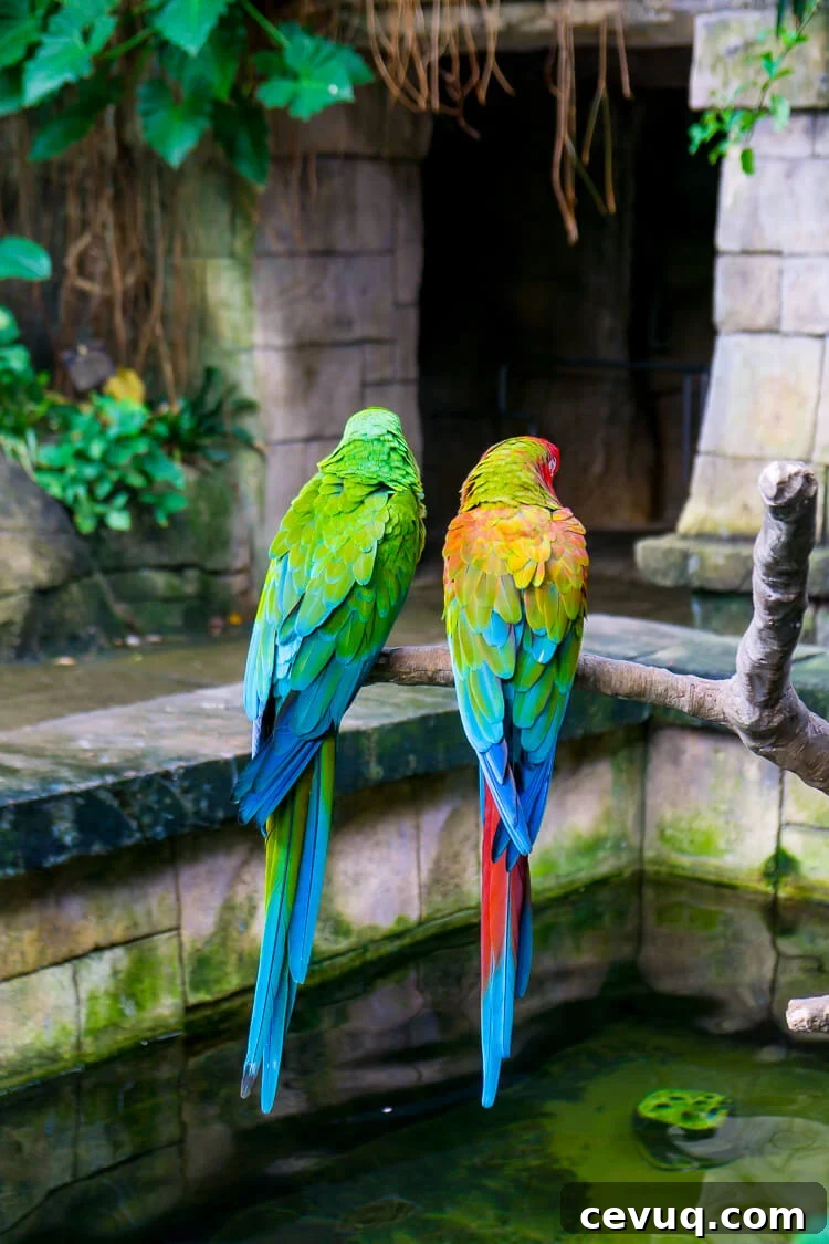 Planning a trip to Galveston Island, Texas? Here are 14 not to be missed things that you should add to your itinerary!